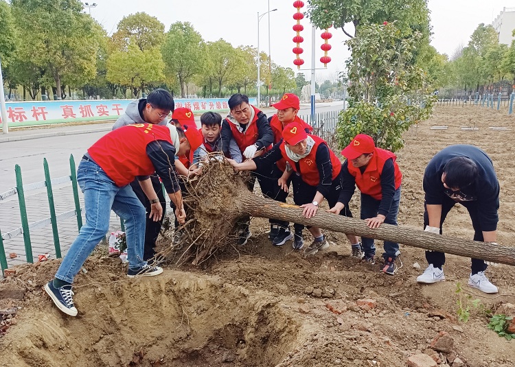 图为谢桥矿团委志愿者在共青林内栽种苗木(胡青云)