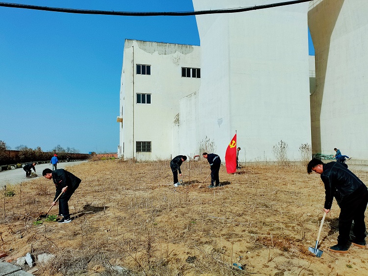草长莺飞三月天,正是植树好时节。近日,煤业公司张集矿组织党员开展植树造林活动,营造风清气正、健康和谐、绿色环保的良好氛围,发挥党员示范引领作用。(田峰)