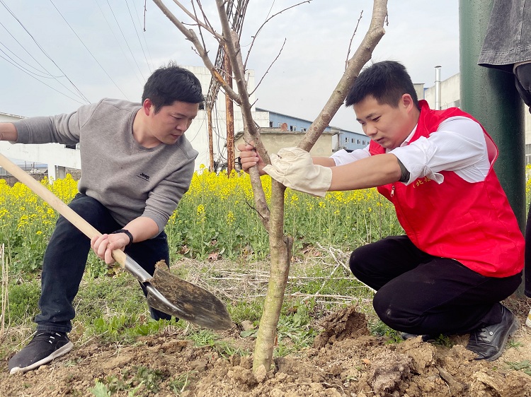 植树节来临之际,顾北矿组织广大青年团员和志愿者在矿西门后场共种植了50颗桃树和梨树,为矿区增添了一抹新绿。(谢雨璇)